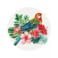 Папуга (Розмір L)