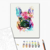 Барвистий бульдог