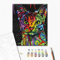 Абісинська кішка