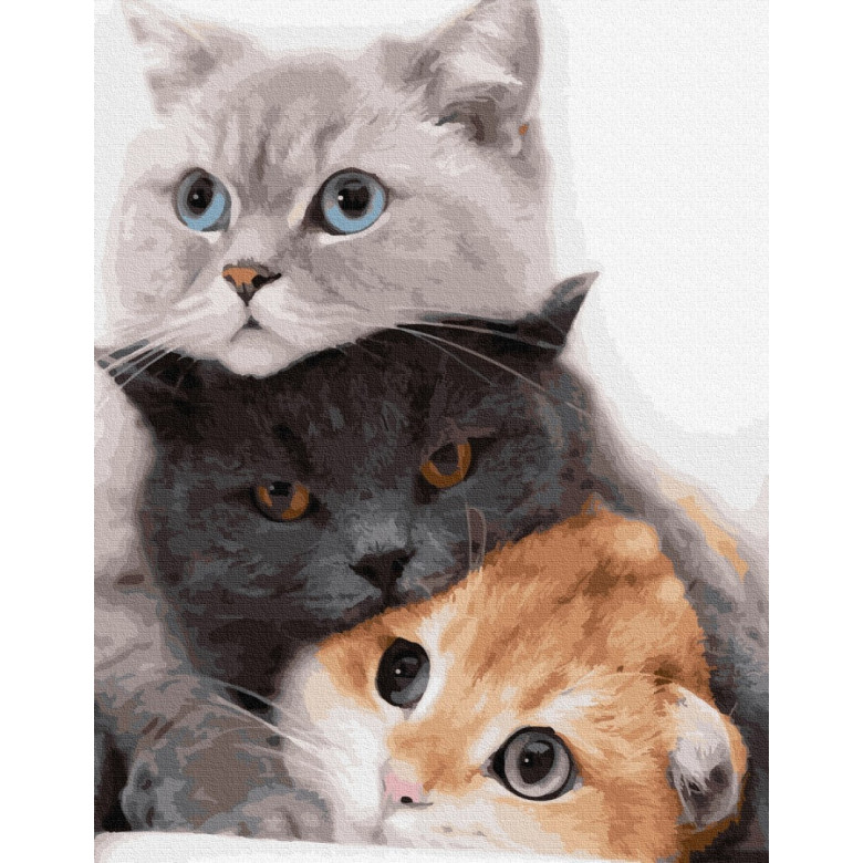 Котики-муркотики