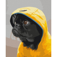 Мопс в худі