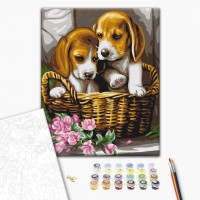 Парочка в кошику Парочка в кошику