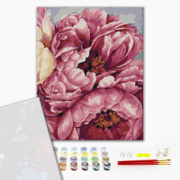 Цвітіння піонів Цвітіння піонів