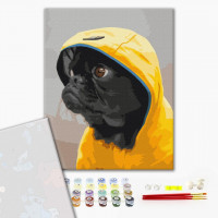 Мопс в худі Мопс в худі