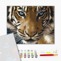 Погляд тигра Погляд тигра