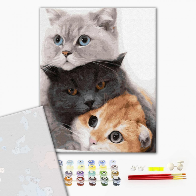 Котики-муркотики