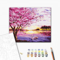 Цвіт сакури Цвіт сакури