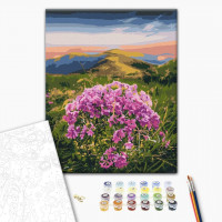 Цвітіння Карпат © Roksolana Baran Цвітіння Карпат © Roksolana Baran