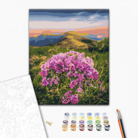 Цвітіння Карпат © Roksolana Baran Цвітіння Карпат © Roksolana Baran