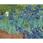 Іриси. Ван Гог