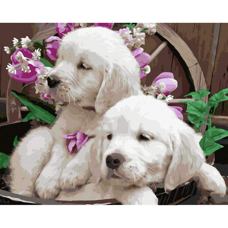 Маленькі цуценята