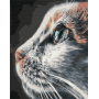 Котопрофіль
