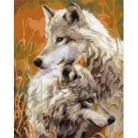 Пара степових вовків