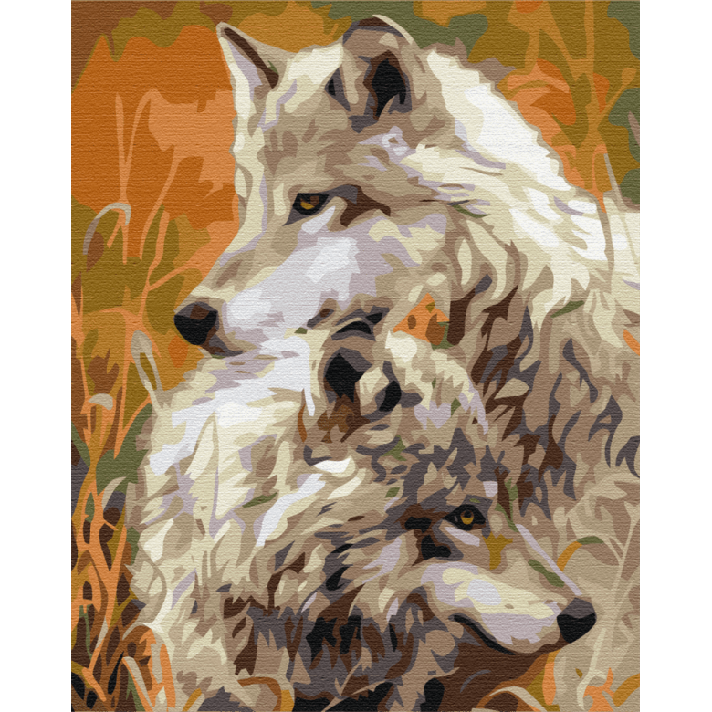 Пара степових вовків