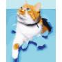 Улюблений котик