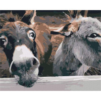 Віслючки на ранчо