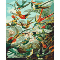 Пернате царство