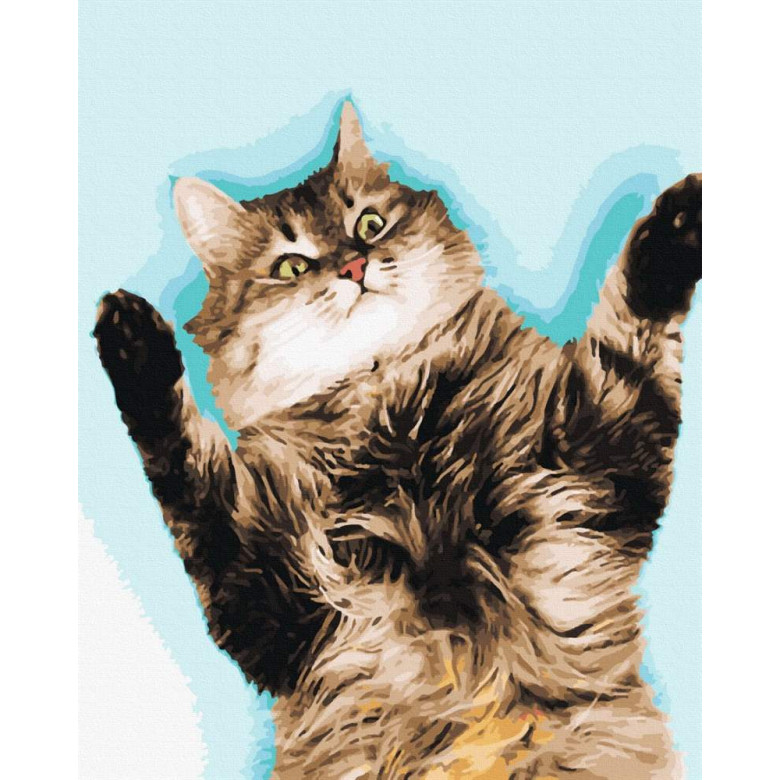 Котик чекає на обійми