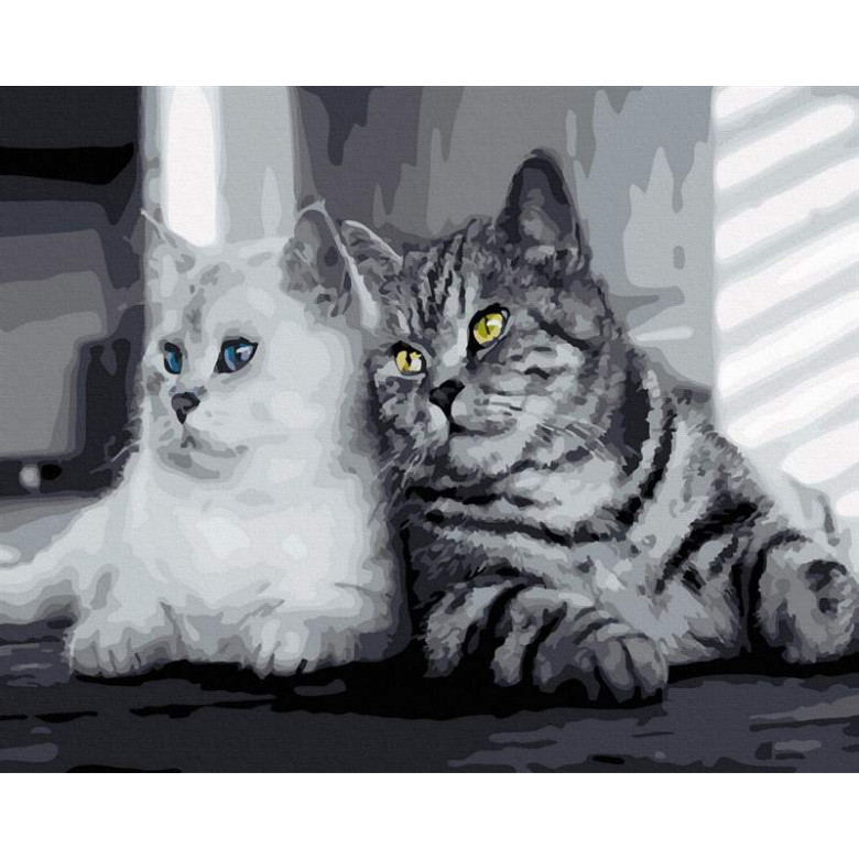 Сіренькі котики
