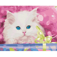 Подарунок для котика