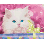 Подарунок для котика