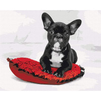 Мій улюблений песик