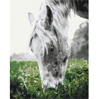 Cіра конячка