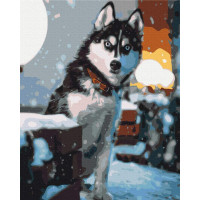 Допитливий хаскі