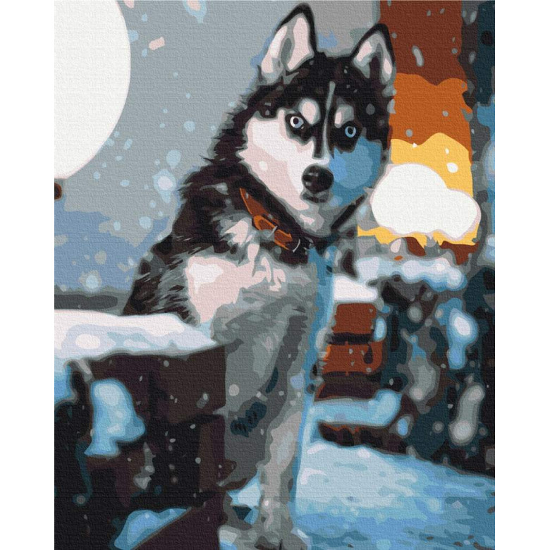 Допитливий хаскі