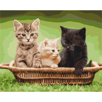 Кошенята в корзині