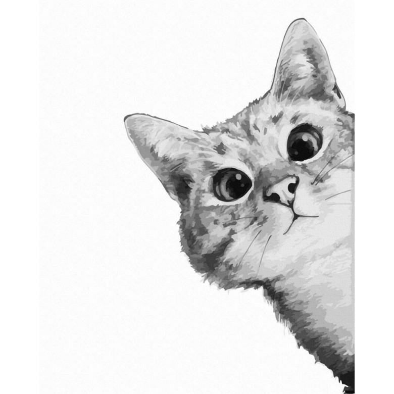 Котик у засідці
