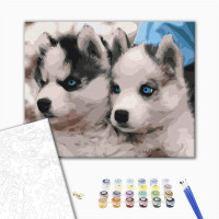 Цуценята хаскі Цуценята хаскі