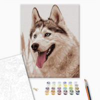 Сіроманець Сіроманець