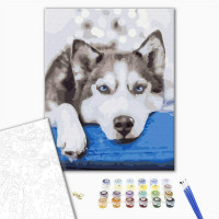 Хаскі в очікувані