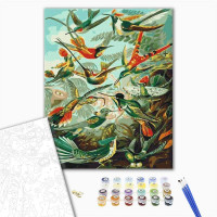 Пернате царство Пернате царство