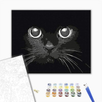 Погляд ночі Погляд ночі