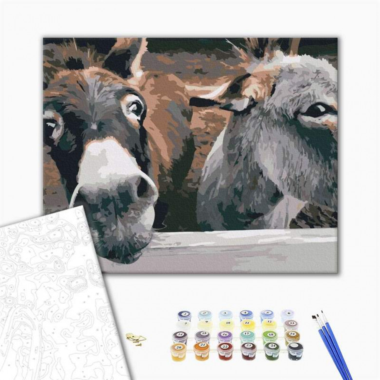 Віслючки на ранчо