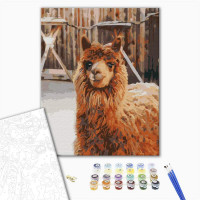 Лама на фермі Лама на фермі