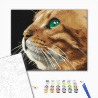 Погляд рижулі Погляд рижулі