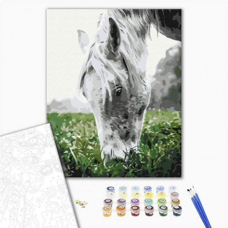 Cіра конячка