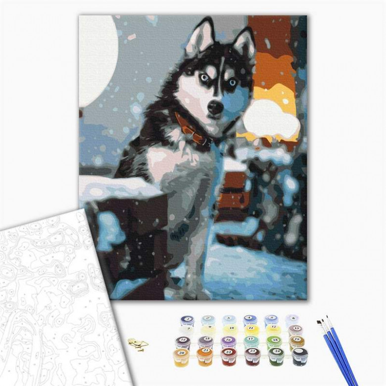 Допитливий хаскі