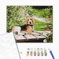 Довговухий друг