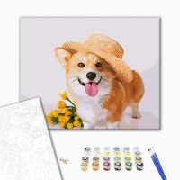 Собачка джентльмен Собачка джентльмен