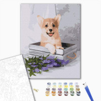 Грайливий коргі