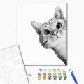 Котик у засідці
