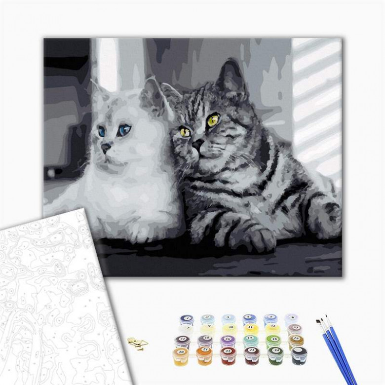 Сіренькі котики