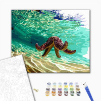 Медуза в заливі Медуза в заливі