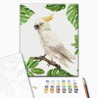 Білий какаду