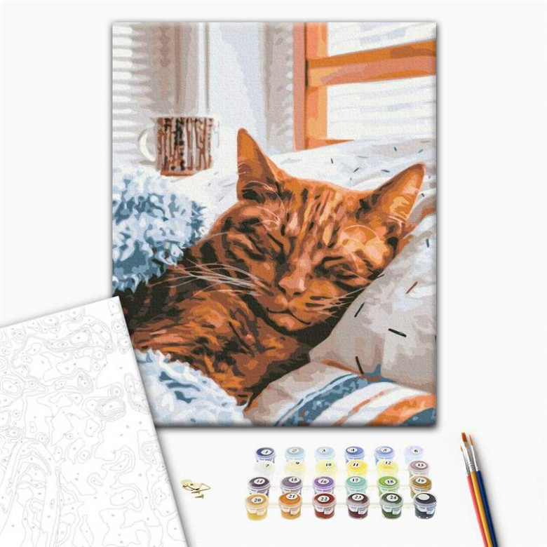Ранковий котик