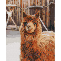 Лама на фермі